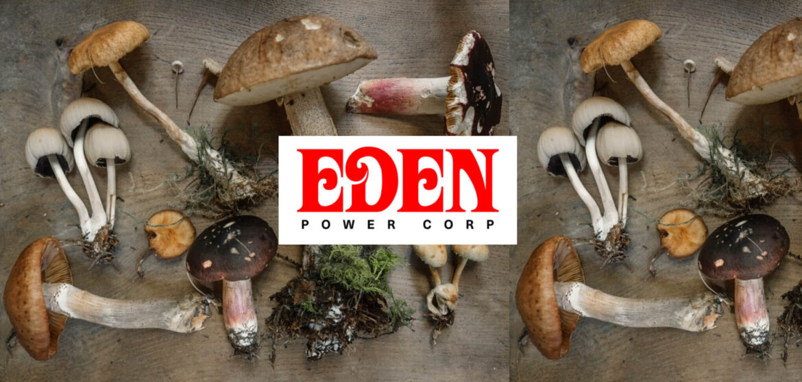 EDEN_BANNER 2