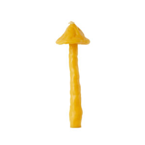 EDEN Power Corp. Mush Beeswax Candle - Miel
