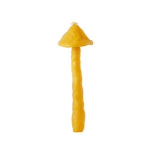 EDEN Power Corp. Mush Beeswax Candle - Miel